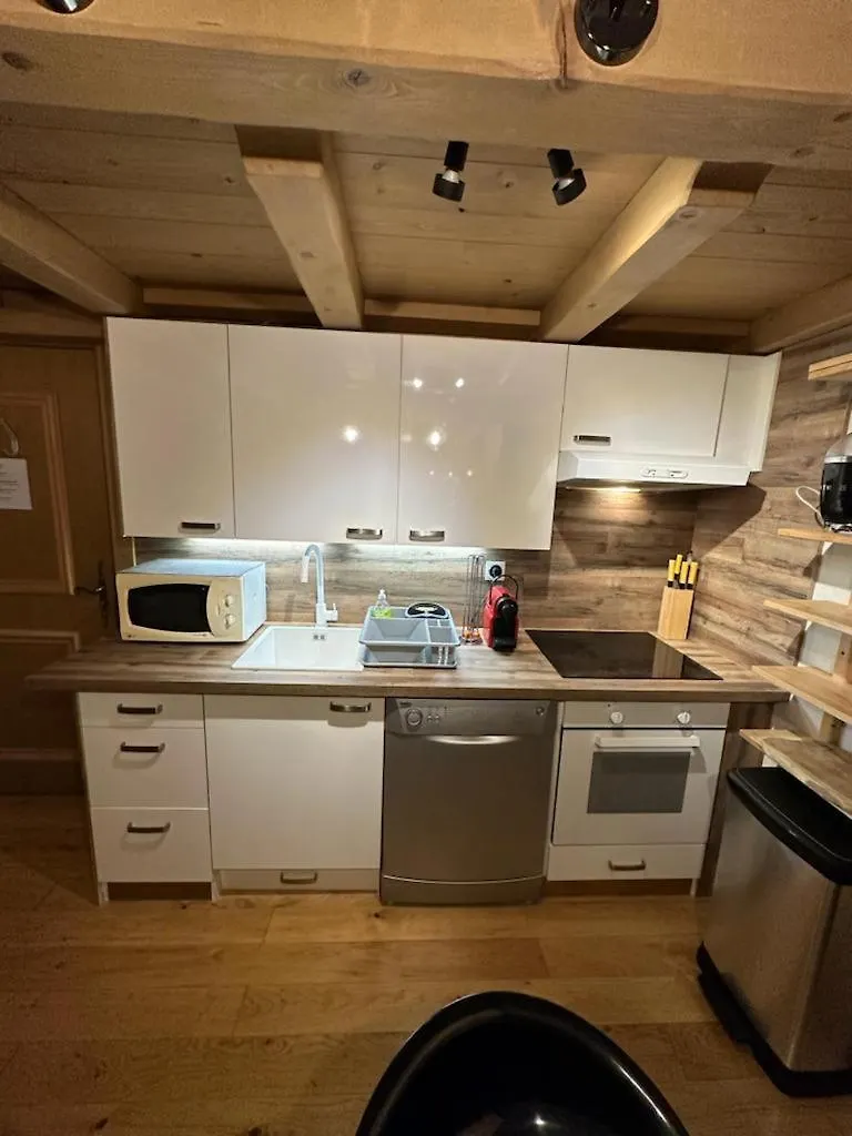 Le Wood Apartment Megeve